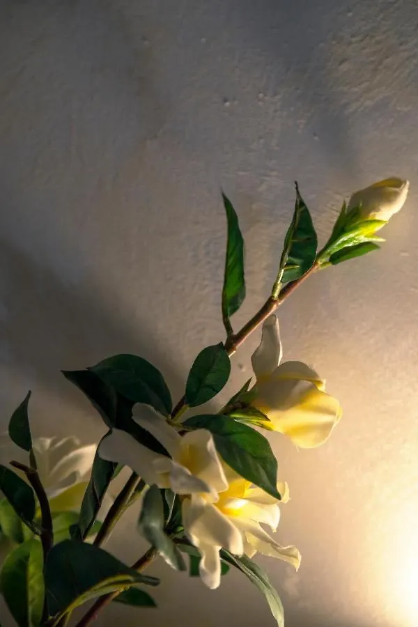 Ca' Anna In Biennale Apartment Venice
